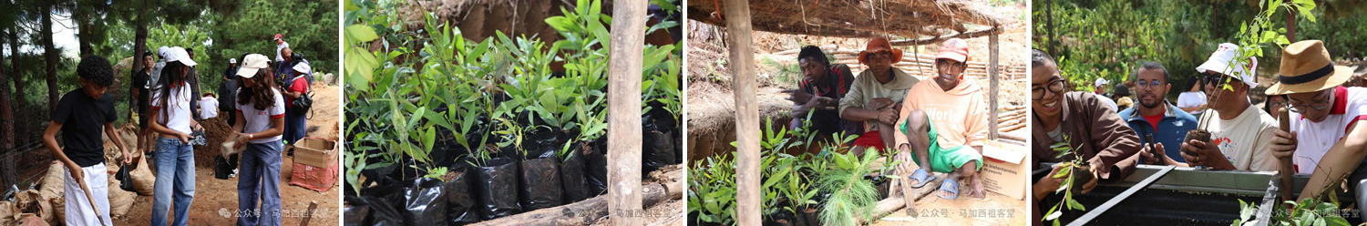 Light and Shadow Magic Hand Puzzle 2.jpg